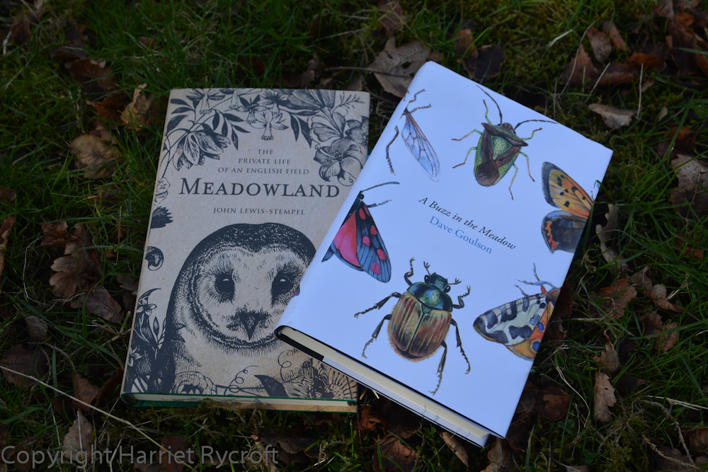 Meadowlands by John Lewis-Stempel and A Buzz in the Meadow by Dave Goulson