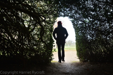 The way through the massive yew hedge