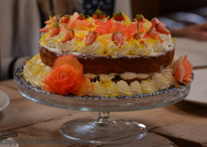 Cakey cakey! The Begonia 'Apricot Shades' petals are tasty too.