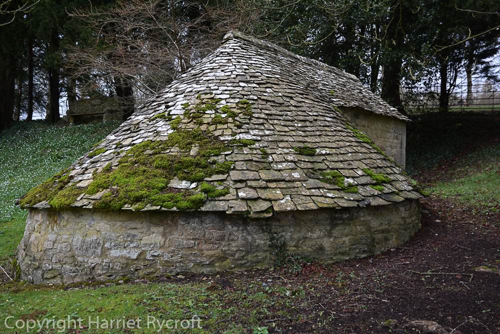 OF COURSE there should be an ice house among a collection of snowdrops. You can see G. plicatus subsp. byzantinus by this lovely 18th century building.